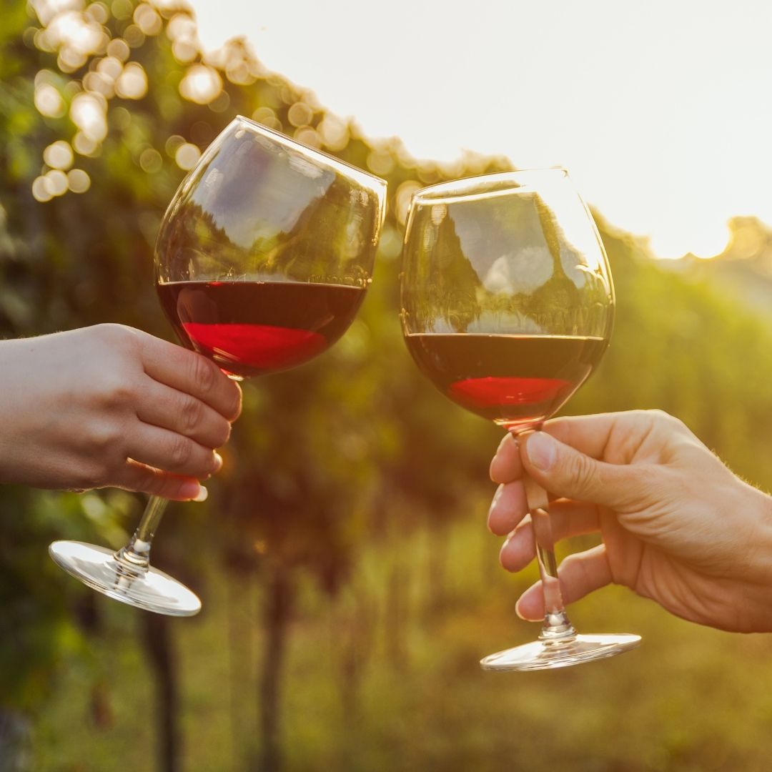 glasses of wine raised in a toast