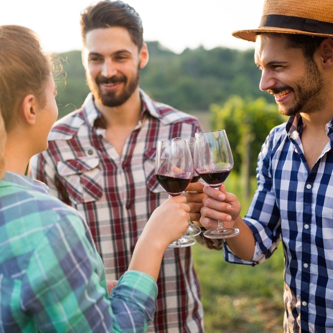 friends enjoying wine together