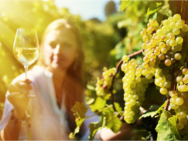 woman visiting vineyard