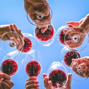 people cheersing with wine