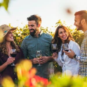 people having fun on a wine tour