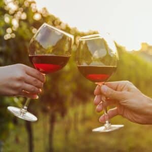 wine in glasses