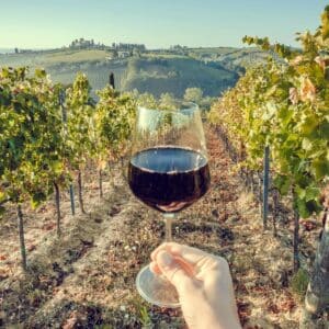 Toasting wine to a wine garden
