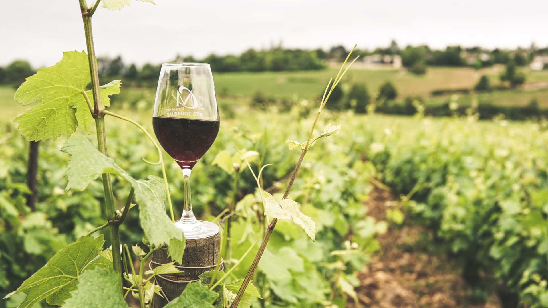 winery