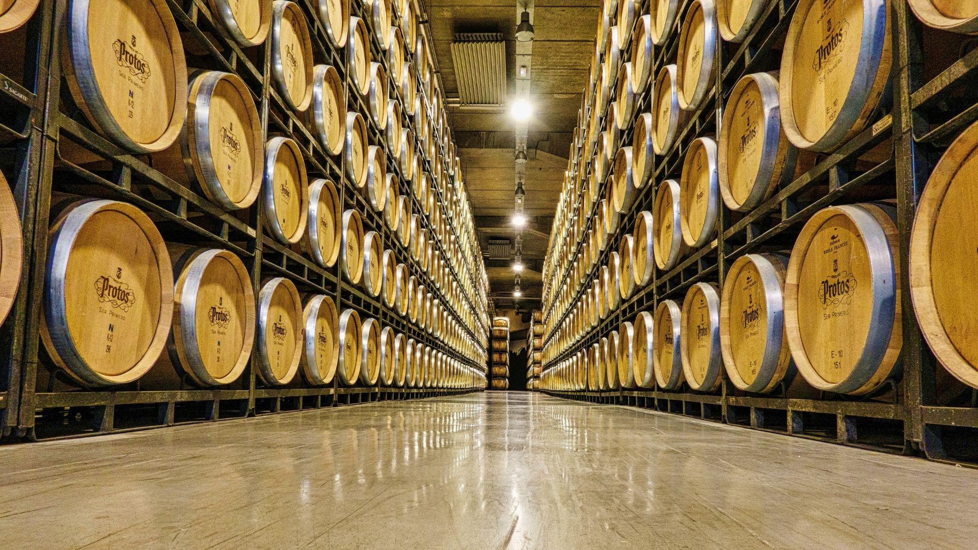 wine barrels at winery