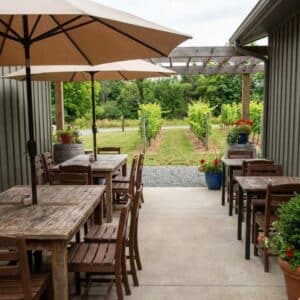 A cozy, intimate tasting room patio with wooden tables, umbrellas, and a view of a small vineyard.